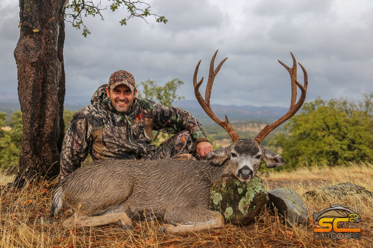Blacktail Deer Hunting